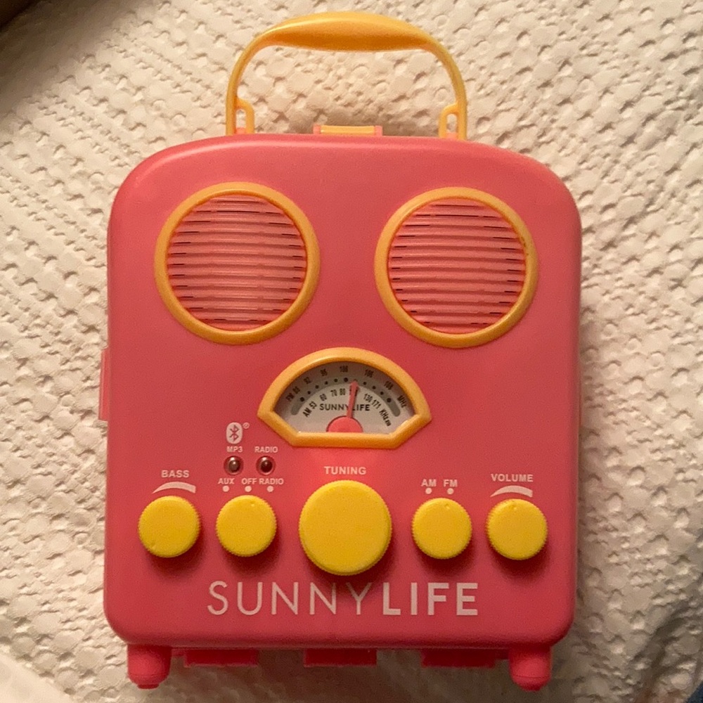 Wireless Bluetooth radio